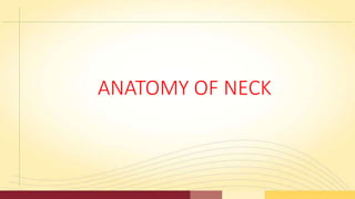 ANATOMY OF NECK
 