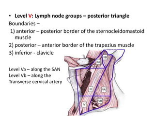 Level Vb Node Neck dissection | PPTX