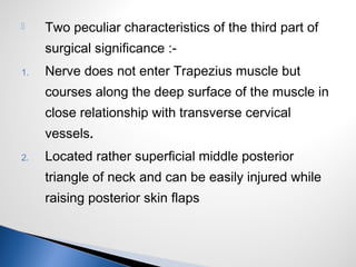  Two peculiar characteristics of the third part of
surgical significance :-
1. Nerve does not enter Trapezius muscle but
courses along the deep surface of the muscle in
close relationship with transverse cervical
vessels.
2. Located rather superficial middle posterior
triangle of neck and can be easily injured while
raising posterior skin flaps
 