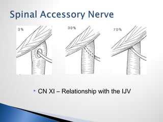  CN XI – Relationship with the IJV
 