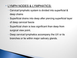  LYMPH NODES & LYMPHATICS:
◦ Cervical lymphatic system is divided into superficial &
deep chains
◦ Superficial drains into deep after piercing superficial layer
of deep cervical fascia
◦ Superficial chain is less significant than deep from
surgical view point.
◦ Deep cervical lymphatics accompany the IJV or its
branches or lie within major salivary glands.
 