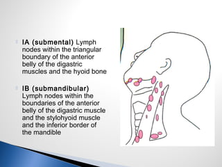 IA (submental) Lymph
nodes within the triangular
boundary of the anterior
belly of the digastric
muscles and the hyoid bone
 IB (submandibular)
Lymph nodes within the
boundaries of the anterior
belly of the digastric muscle
and the stylohyoid muscle
and the inferior border of
the mandible
 