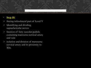• Step 10:
 freeing inferolateral part of Level V
 Identifying and dividing
supraclavicular nerves
 Incision of fatty vascular pedicle
containing transverse cervical artery
and vein
 isolation and division of transverse
cervical artery and its proximity to
XIn.
 