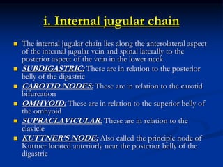 i. Internal jugular chain
 The internal jugular chain lies along the anterolateral aspect
of the internal jugular vein and spinal laterally to the
posterior aspect of the vein in the lower neck
 SUBDIGASTRIC: These are in relation to the posterior
belly of the digastric
 CAROTID NODES: These are in relation to the carotid
bifurcation
 OMHYOID: These are in relation to the superior belly of
the omhyoid
 SUPRACLAVICULAR: These are in relation to the
clavicle
 KUTTNER’S NODE: Also called the principle node of
Kuttner located anteriorly near the posterior belly of the
digastric
 