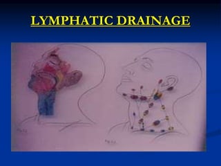 LYMPHATIC DRAINAGE
 