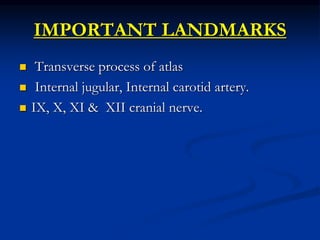 IMPORTANT LANDMARKS
 Transverse process of atlas
 Internal jugular, Internal carotid artery.
 IX, X, XI & XII cranial nerve.
 