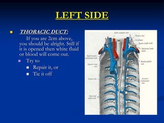 LEFT SIDE
 THORACIC DUCT:
If you are 2cm above,
you should be alright. Still if
it is opened then white fluid
or blood will come out.
 Try to
 Repair it, or
 Tie it off
 