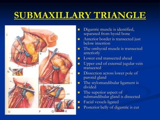 SUBMAXILLARY TRIANGLE
 Digastric muscle is identified,
separated from hyoid bone
 Anterior border is transected just
below insertion
 The omhyoid muscle is transected
anteriorly
 Lower end transected ahead
 Upper end of external jugular vein
transected
 Dissection across lower pole of
parotid gland
 The stylomandibular ligament is
divided
 The superior aspect of
submandibular gland is dissected
 Facial vessels ligated
 Posterior belly of digastric is cut
 