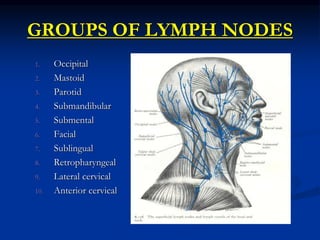 GROUPS OF LYMPH NODES
1. Occipital
2. Mastoid
3. Parotid
4. Submandibular
5. Submental
6. Facial
7. Sublingual
8. Retropharyngeal
9. Lateral cervical
10. Anterior cervical
 