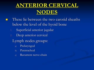 ANTERIOR CERVICAL
NODES
 These lie between the two carotid sheaths
below the level of the hyoid bone
1. Superficial anter...