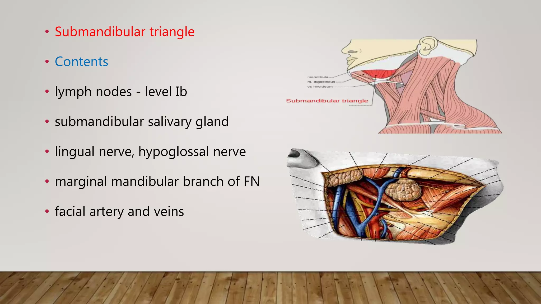 Dissected Neck Neck dissection | PPTX