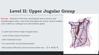 Level II: Upper Jugular Group
Drainage : lymphatics of the face, parotid gland, level Ia, level Ib, and
retropharyngeal nodes, nasal cavity, pharyngeal axis, larynx, external auditory
canal, middle ear, sublingual and submandibular glands.
S: Lower level of bony margin of jugular fossa
I: Level of lower body of hyoid bone
A (M): Stylohyoid muscle
P (L): post border of sternocleidomastoid
Vertical plane defined by spinal accessory divides into - Ⅱ-A andⅡ-B
 