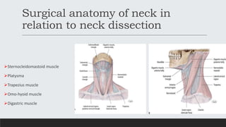 Surgical anatomy of neck in
relation to neck dissection
Sternocleidomastoid muscle
Platysma
Trapezius muscle
Omo-hyoid muscle
Digastric muscle
 