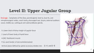 Level II: Upper Jugular Group
Drainage : lymphatics of the face, parotid gland, level Ia, level Ib, and
retropharyngeal no...