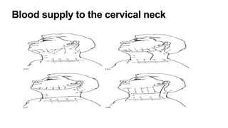 Neck Dissection Head Neck oncoSurgery.pptx