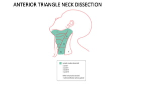 Vii Neck Dissection NECK DISSECTION current protocol/management of neck .pptx