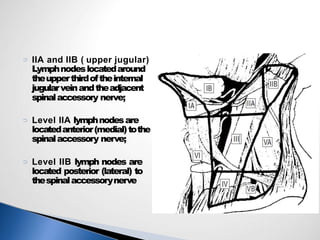 Neck dissection dr inder | PPTX