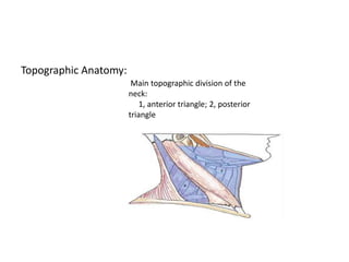 Neck Dissection Rcpa Neck dissectionppt.pptx