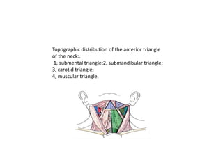 Submalar Triangle Neck dissectionppt.pptx