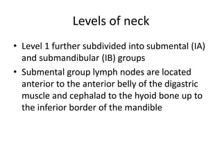 Submandibular (IB) Group
Lymph nodes located posterior to the anterior
belly of the digastric muscle and superior to
the a...
