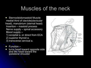 Neck Dissections | PPT