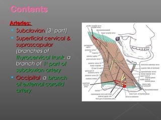 Neck dissections | PPT