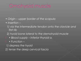 Division of the neck
Anterior triangle
Suprahyoid region: submental triangle
submandibular triangle
Infrahyoid region: mus...