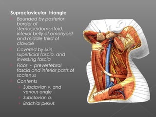 Ia Submental
 Ib Submandibular
 IIa Upper jugular (Anterior to XI)
 IIb Upper jugular (Posterior to XI)
 III Middle ...