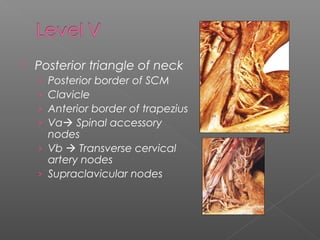  1. Presence of clinically positive N1, N2a,
N2b & N3 nodes
Treatment of No neck is still a
controversy.
 2. Extra nodal...