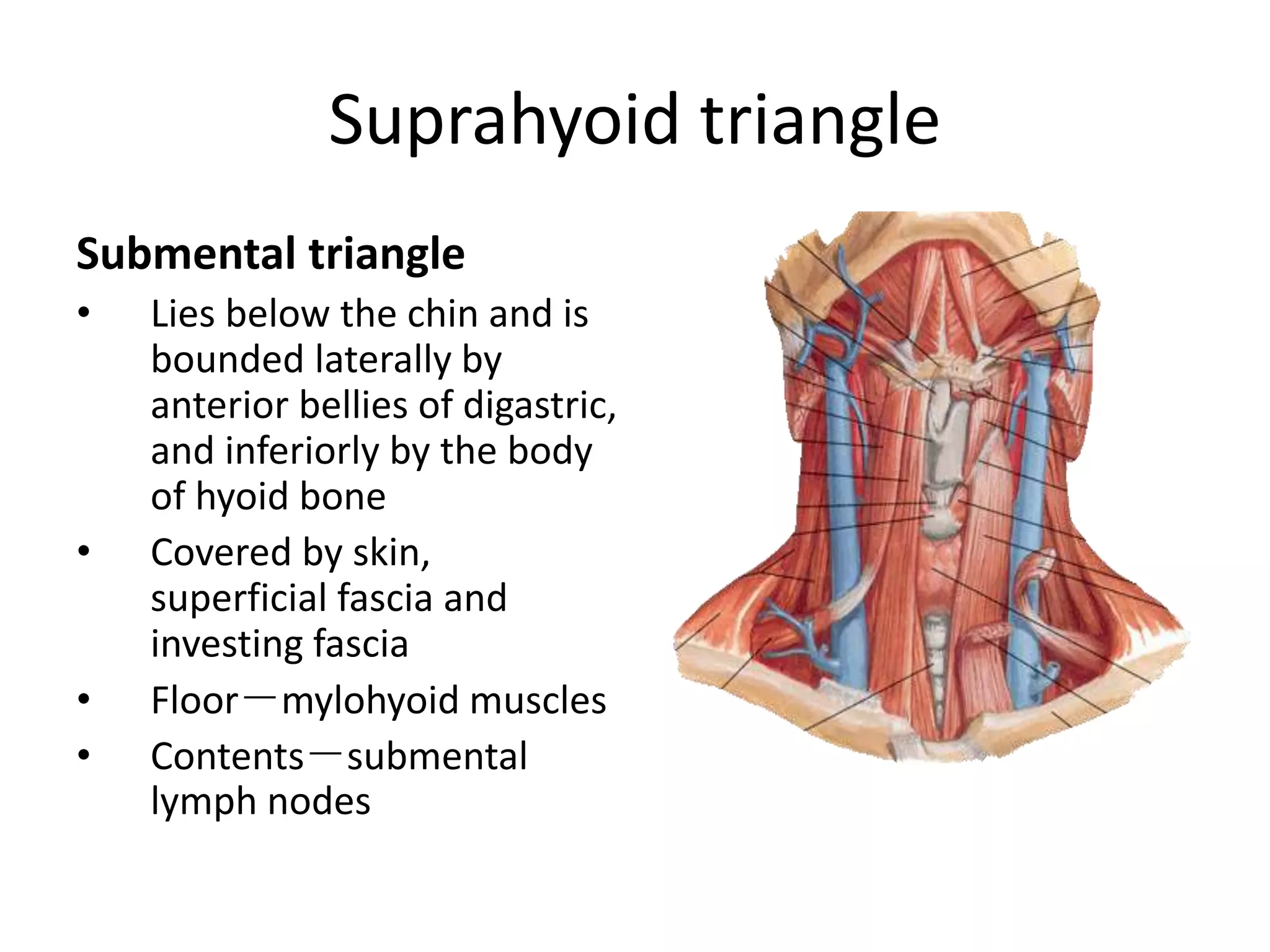 Neck dissections | PPTX