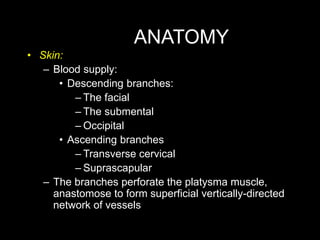 ANATOMY
• Skin:
– Blood supply:
• Descending branches:
– The facial
– The submental
– Occipital
• Ascending branches
– Tra...