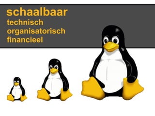 technisch
organisatorisch
financieel
schaalbaar
 