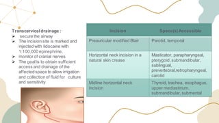 Preauricular Incision Steps neck infections - neck infections neck infection | PDF