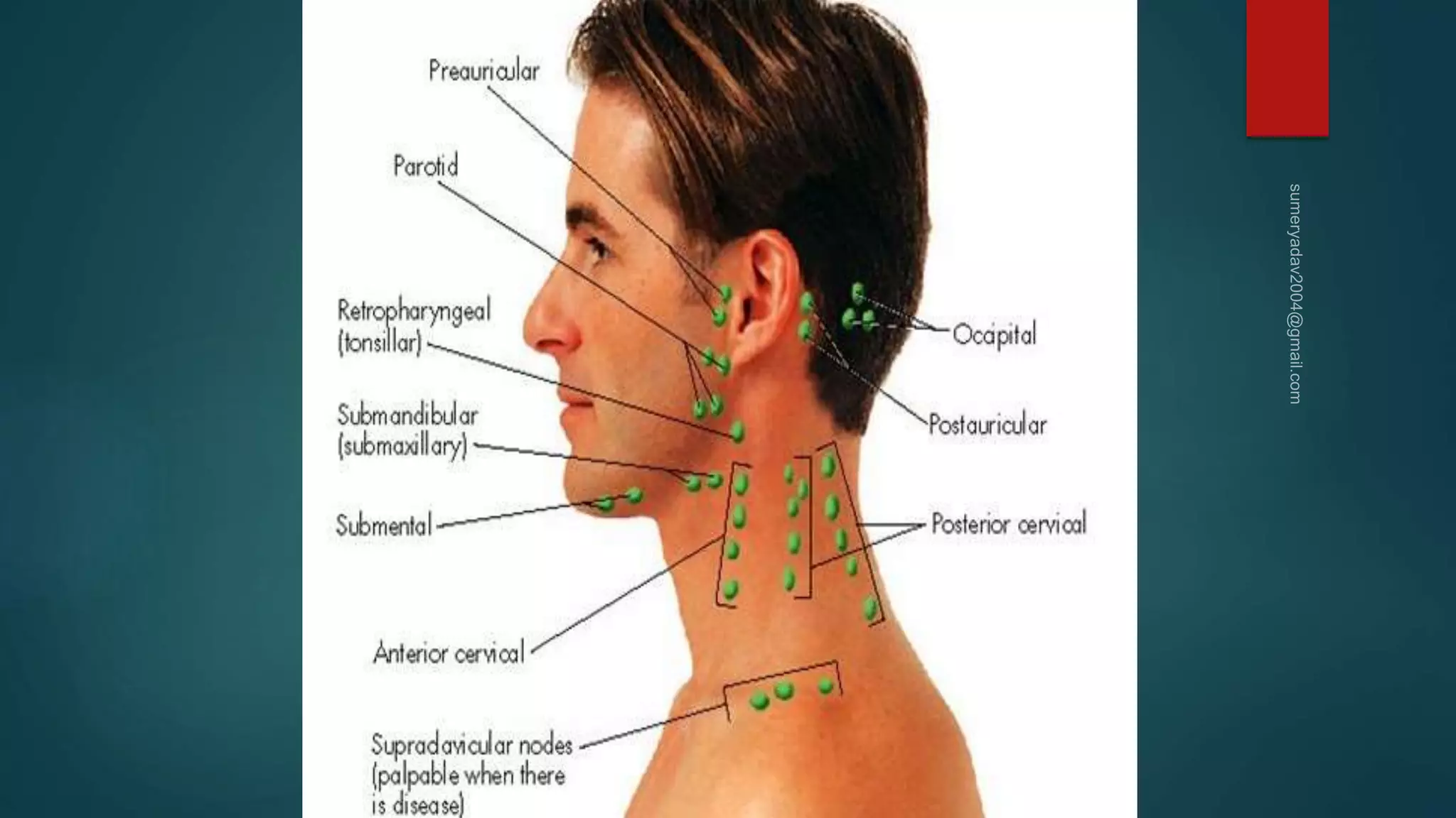 Neck mass differential diagnosis | PPTX