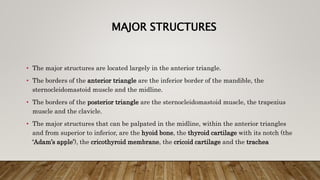 MAJOR STRUCTURES
• The major structures are located largely in the anterior triangle.
• The borders of the anterior triangle are the inferior border of the mandible, the
sternocleidomastoid muscle and the midline.
• The borders of the posterior triangle are the sternocleidomastoid muscle, the trapezius
muscle and the clavicle.
• The major structures that can be palpated in the midline, within the anterior triangles
and from superior to inferior, are the hyoid bone, the thyroid cartilage with its notch (the
‘Adam’s apple’), the cricothyroid membrane, the cricoid cartilage and the trachea
 