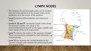 LYMPH NODES
• The location of cervical lymph nodes can be divided
into six levels and level of the lymph nodes can be
predictive as to the source of the problem.
• Level I includes submandibular and submental
nodes.
• Levels II, III and IV encompass lymph nodes along
the internal jugular vein, deep to the
sternocleidomastoid muscle in the upper, middle and
lower thirds of the neck respectively.
• Level V contains the nodes in the posterior triangle.
These are commonly enlarged in viral infections, e.g.
mononucleosis.
• Level VI lies between the carotid sheaths in the
anterior triangle and contains the prelaryngeal and
pretracheal nodes.
 