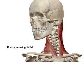 Pretty amazing, huh?
 