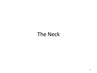 The Neck




           01
 