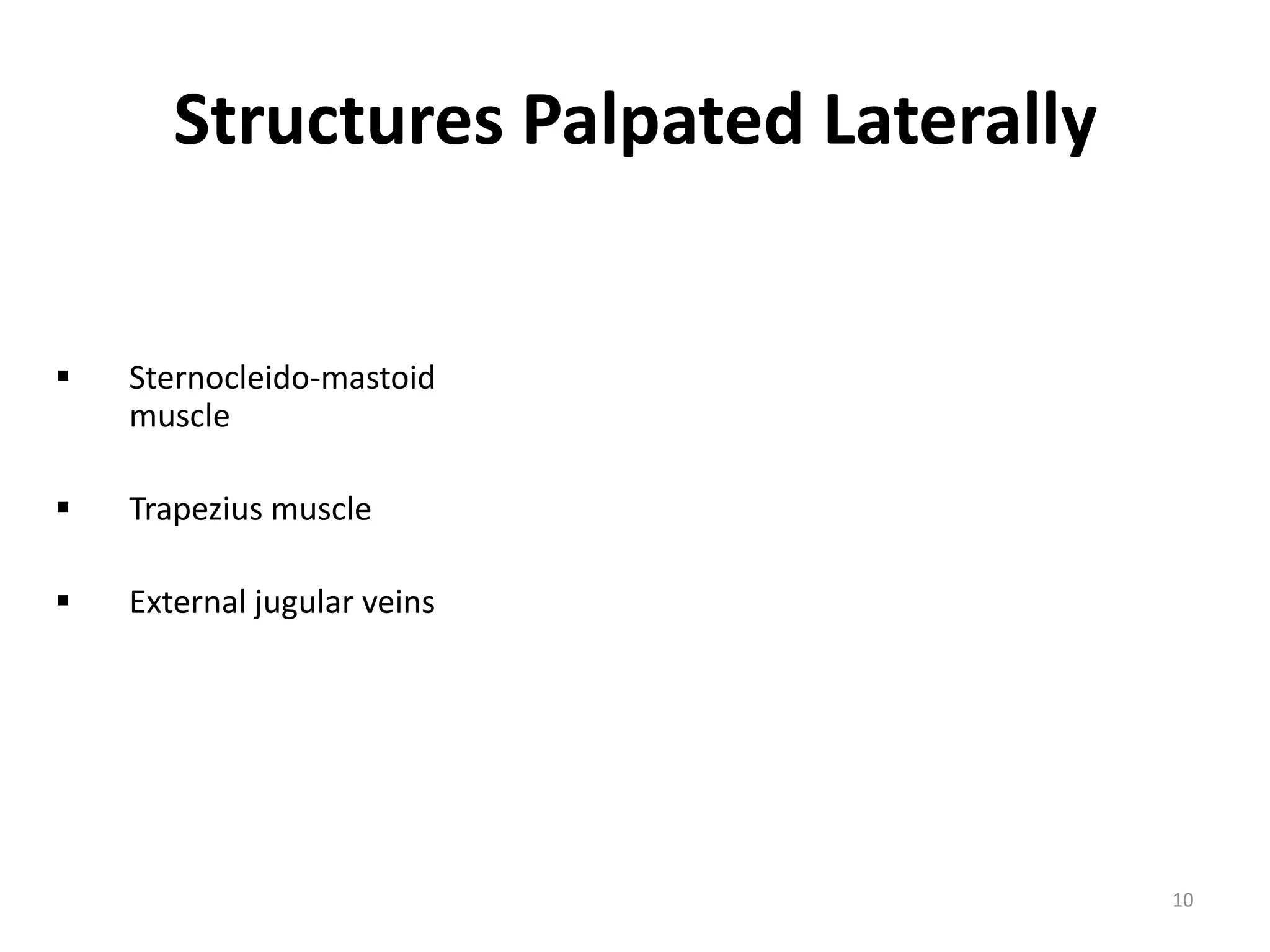 Structures Palpated Laterally


   Sternocleido-mastoid
    muscle

   Trapezius muscle

   External jugular veins




                                       10
 