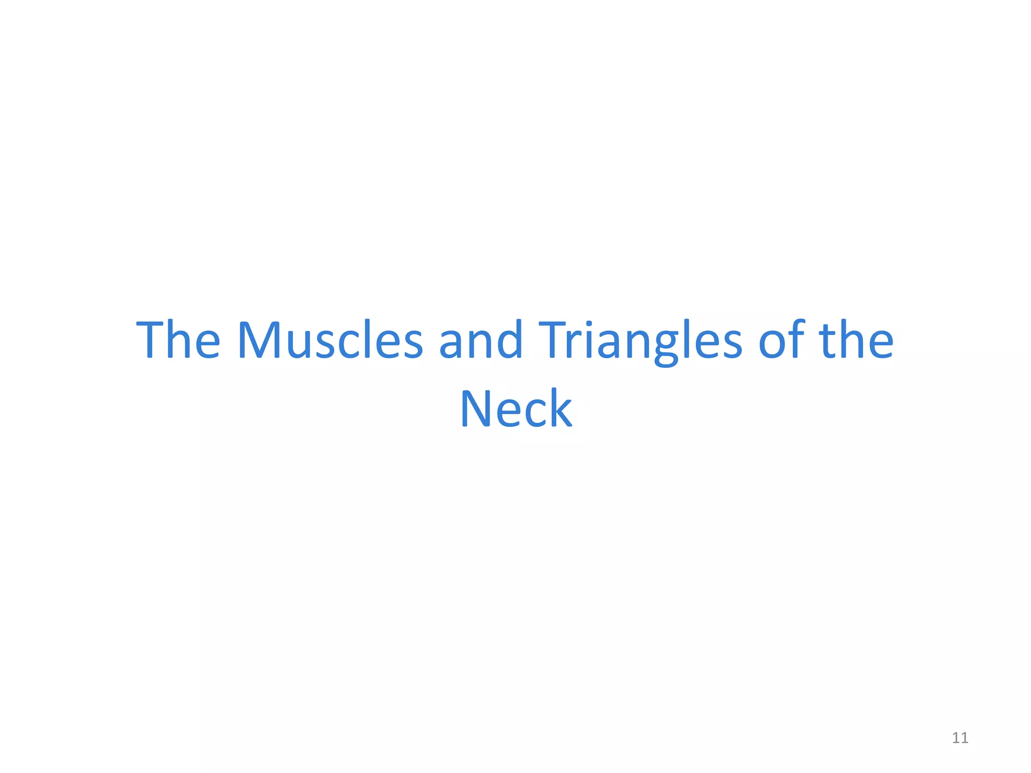 The Muscles and Triangles of the
             Neck




                                   11
 