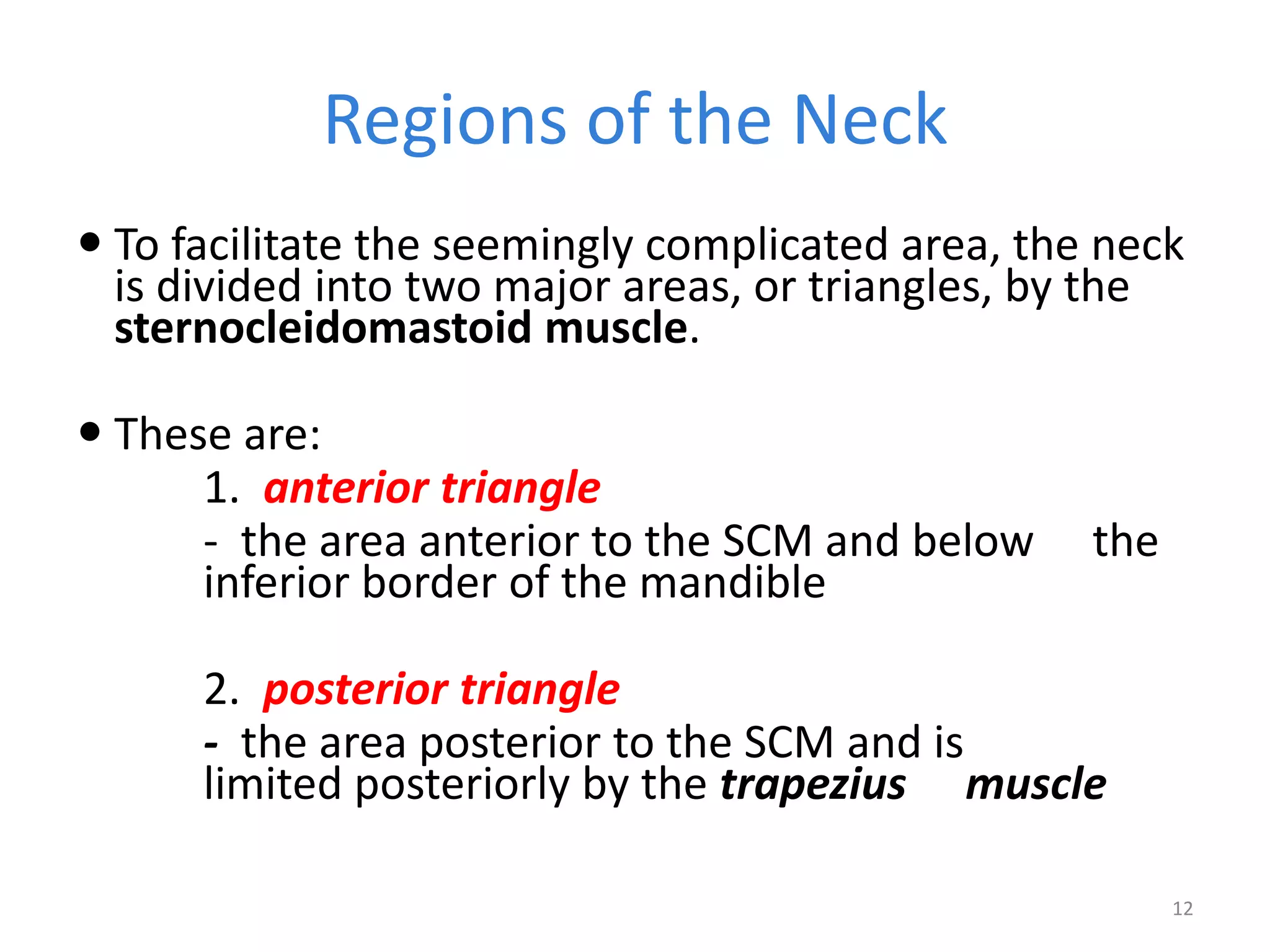 Regions of the Neck
 To facilitate the seemingly complicated area, the neck
  is divided into two major areas, or triangles, by the
  sternocleidomastoid muscle.

 These are:
      1. anterior triangle
      - the area anterior to the SCM and below     the
      inferior border of the mandible

      2. posterior triangle
      - the area posterior to the SCM and is
      limited posteriorly by the trapezius muscle

                                                         12
 