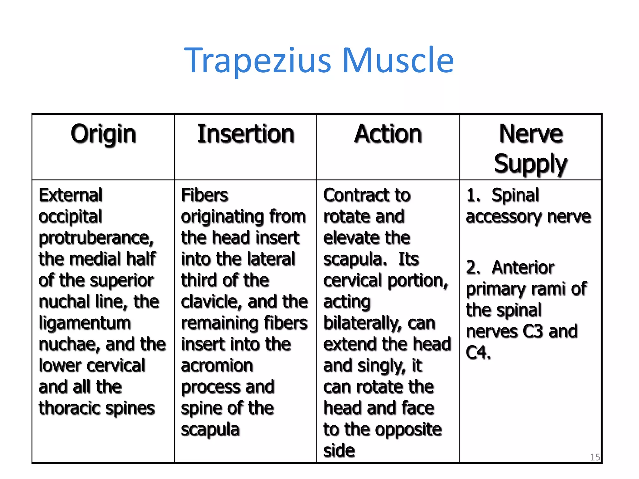 Trapezius Muscle
    Origin           Insertion             Action             Nerve
                                                              Supply
External           Fibers              Contract to         1. Spinal
occipital          originating from    rotate and          accessory nerve
protruberance,     the head insert     elevate the
the medial half    into the lateral    scapula. Its        2. Anterior
of the superior    third of the        cervical portion,   primary rami of
nuchal line, the   clavicle, and the   acting              the spinal
ligamentum         remaining fibers    bilaterally, can    nerves C3 and
nuchae, and the    insert into the     extend the head     C4.
lower cervical     acromion            and singly, it
and all the        process and         can rotate the
thoracic spines    spine of the        head and face
                   scapula             to the opposite
                                       side                                  15
 