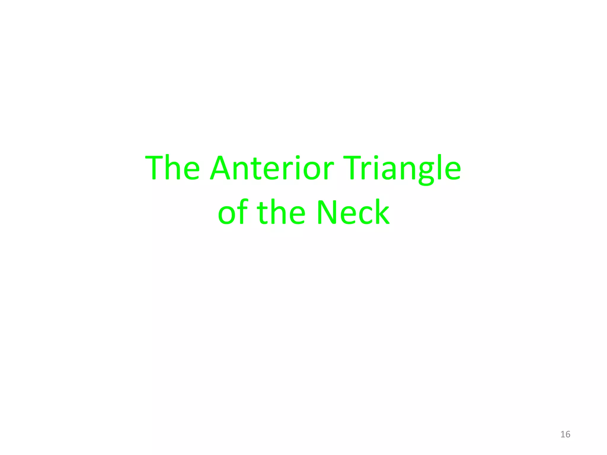 The Anterior Triangle
    of the Neck




                        16
 