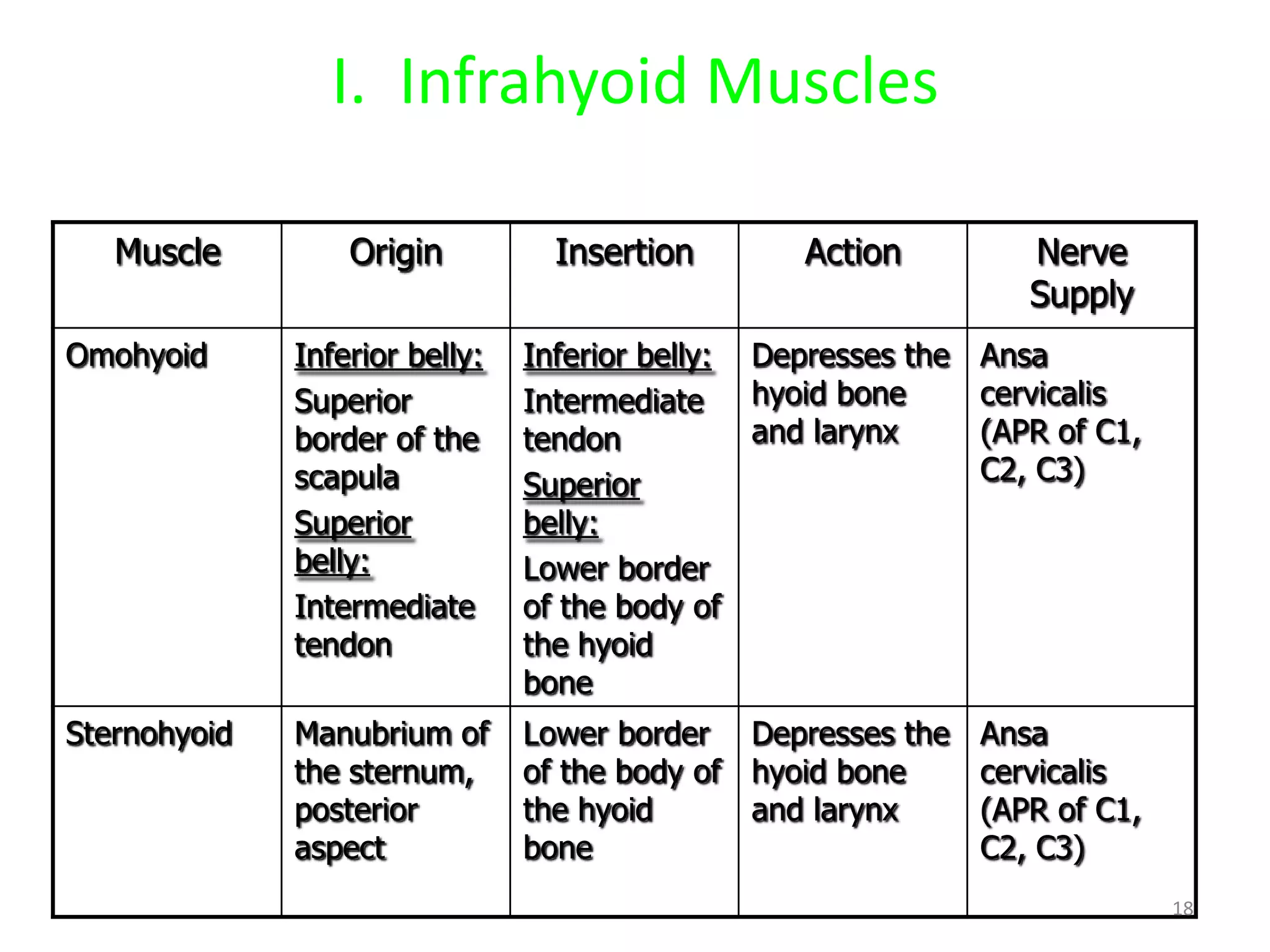 I. Infrahyoid Muscles

   Muscle         Origin          Insertion        Action          Nerve
                                                                   Supply
Omohyoid      Inferior belly:   Inferior belly: Depresses the   Ansa
              Superior          Intermediate    hyoid bone      cervicalis
              border of the     tendon          and larynx      (APR of C1,
              scapula           Superior                        C2, C3)
              Superior          belly:
              belly:            Lower border
              Intermediate      of the body of
              tendon            the hyoid
                                bone
Sternohyoid   Manubrium of      Lower border Depresses the      Ansa
              the sternum,      of the body of hyoid bone       cervicalis
              posterior         the hyoid      and larynx       (APR of C1,
              aspect            bone                            C2, C3)
                                                                              18
 