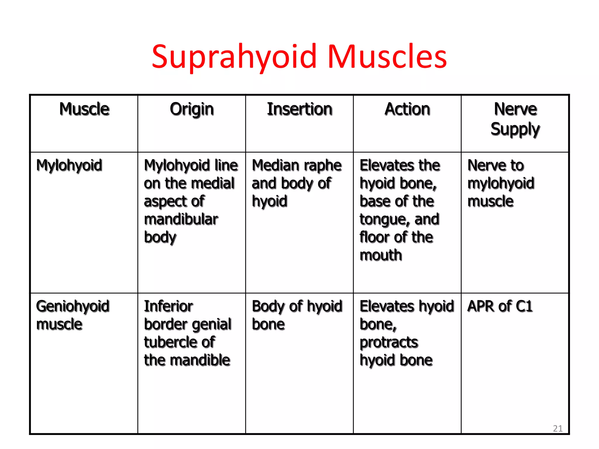Suprahyoid Muscles
   Muscle       Origin         Insertion        Action         Nerve
                                                               Supply

Mylohyoid    Mylohyoid line Median raphe     Elevates the   Nerve to
             on the medial and body of       hyoid bone,    mylohyoid
             aspect of      hyoid            base of the    muscle
             mandibular                      tongue, and
             body                            floor of the
                                             mouth


Geniohyoid   Inferior        Body of hyoid   Elevates hyoid APR of C1
muscle       border genial   bone            bone,
             tubercle of                     protracts
             the mandible                    hyoid bone



                                                                        21
 