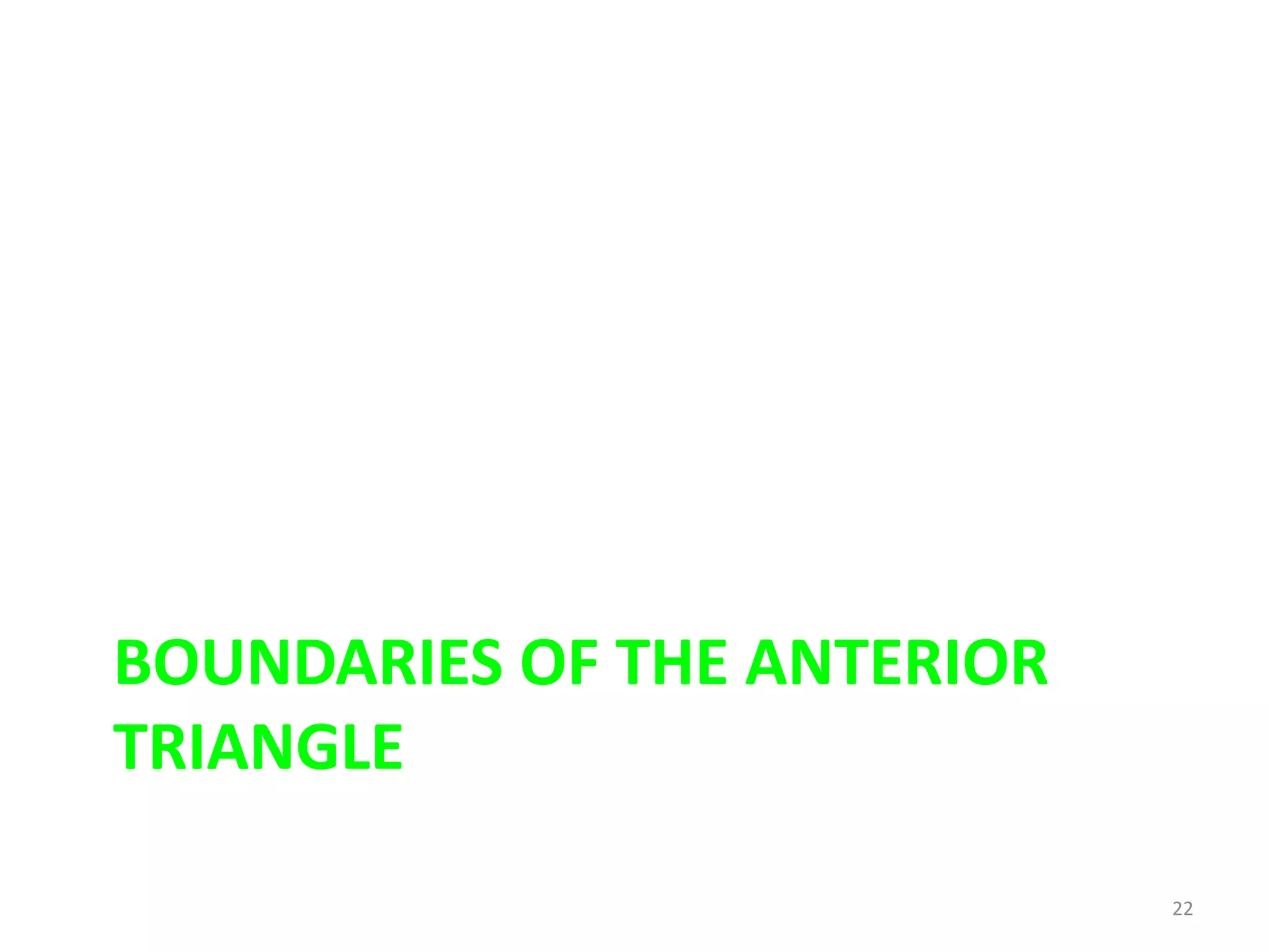 BOUNDARIES OF THE ANTERIOR
TRIANGLE

                             22
 