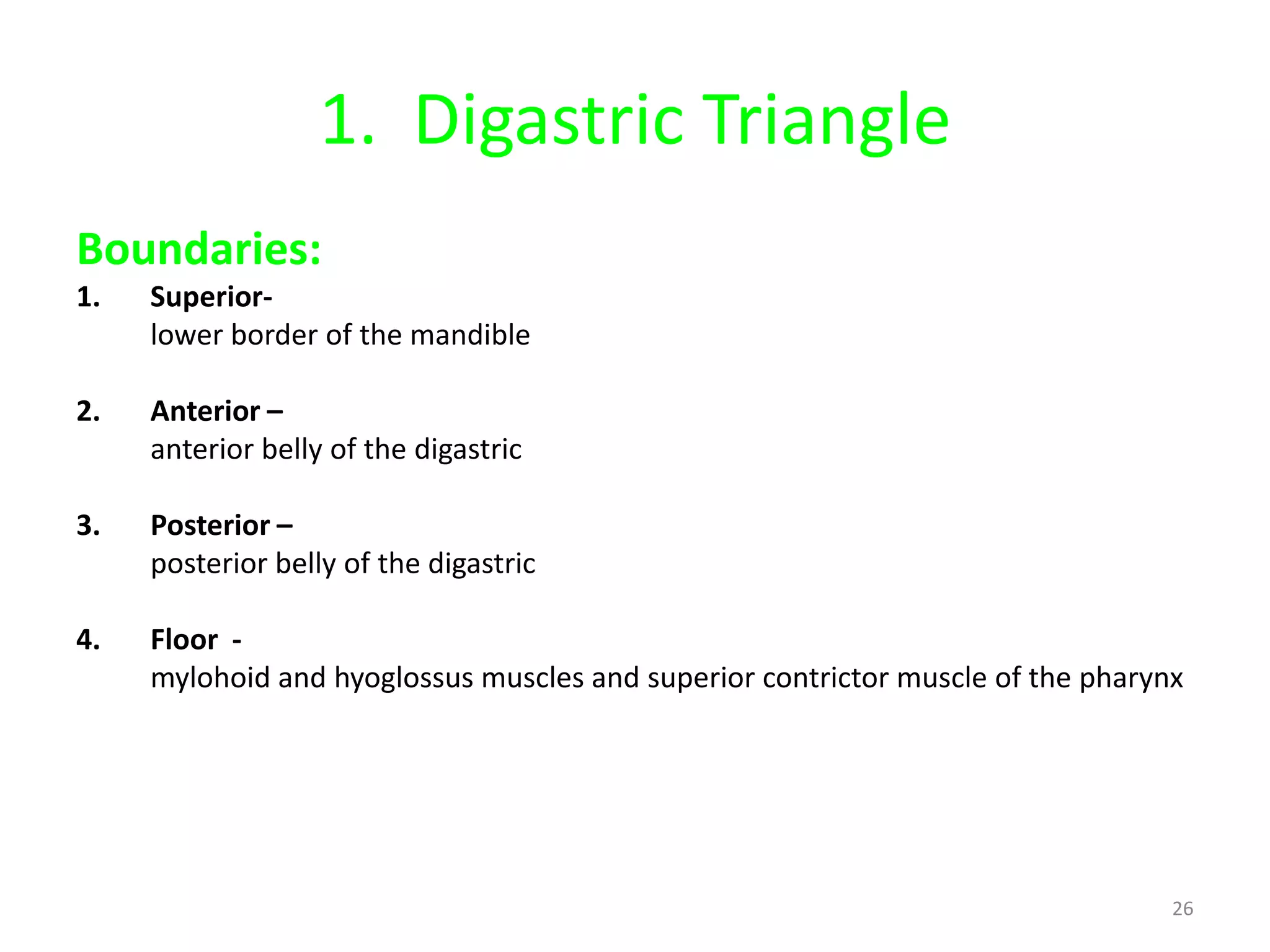 1. Digastric Triangle
Boundaries:
1.   Superior-
     lower border of the mandible

2.   Anterior –
     anterior belly of the digastric

3.   Posterior –
     posterior belly of the digastric

4.   Floor -
     mylohoid and hyoglossus muscles and superior contrictor muscle of the pharynx




                                                                                 26
 