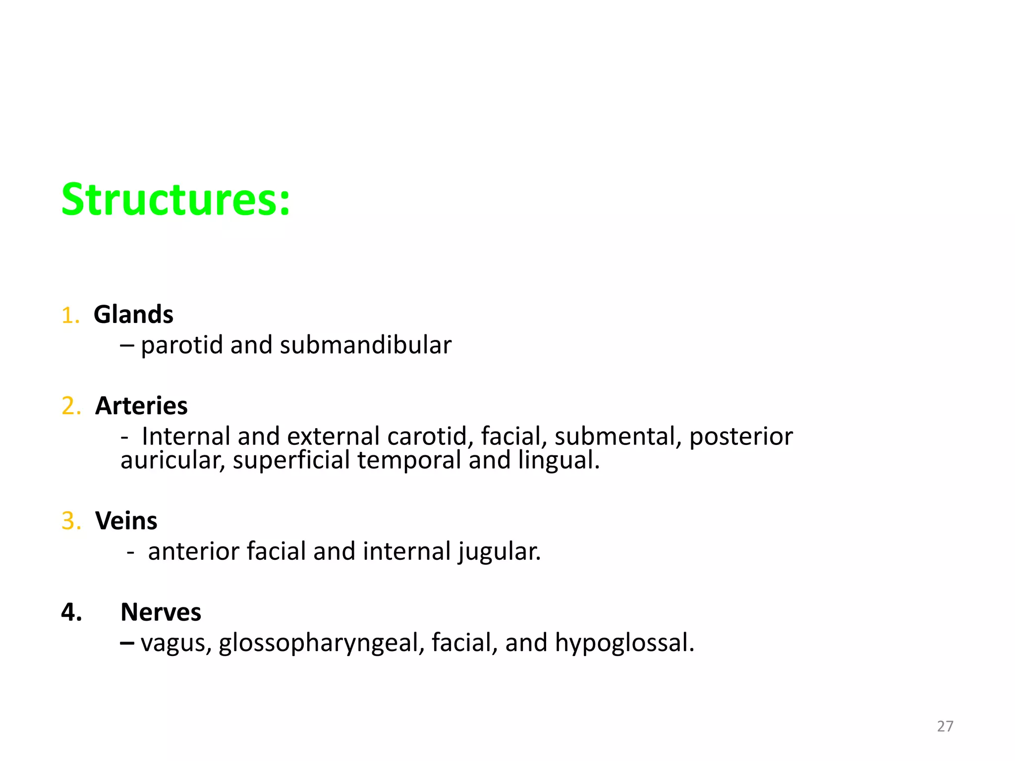 Structures:

1. Glands
     – parotid and submandibular

2. Arteries
     - Internal and external carotid, facial, submental, posterior
     auricular, superficial temporal and lingual.

3. Veins
     - anterior facial and internal jugular.

4.   Nerves
     – vagus, glossopharyngeal, facial, and hypoglossal.

                                                                     27
 
