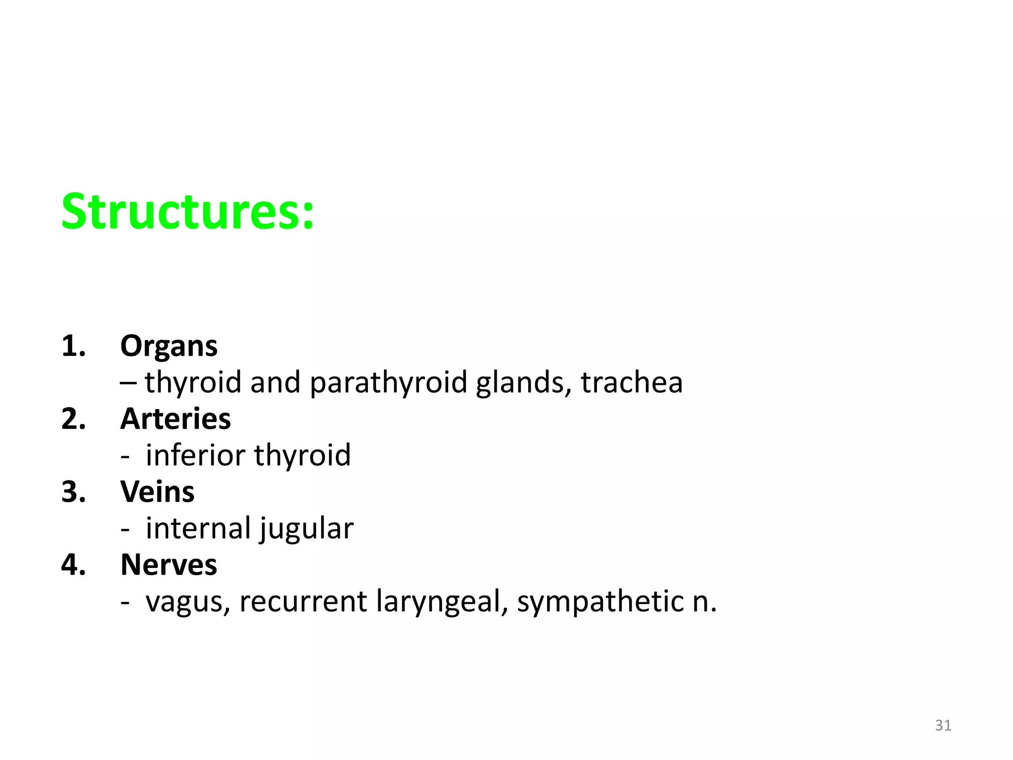 Structures:

1. Organs
   – thyroid and parathyroid glands, trachea
2. Arteries
   - inferior thyroid
3. Veins
   - internal jugular
4. Nerves
   - vagus, recurrent laryngeal, sympathetic n.


                                                  31
 