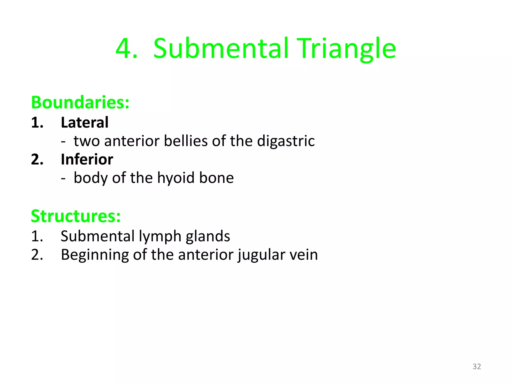 4. Submental Triangle
Boundaries:
1. Lateral
   - two anterior bellies of the digastric
2. Inferior
   - body of the hyoid bone

Structures:
1. Submental lymph glands
2. Beginning of the anterior jugular vein




                                             32
 